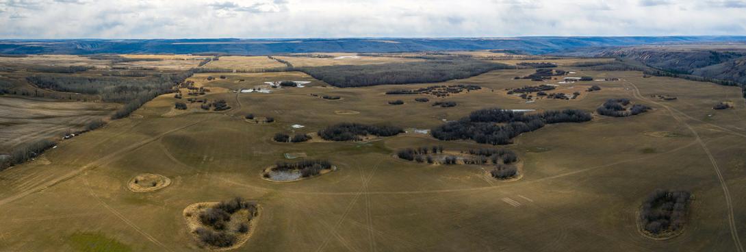 BC Hydro is constructing and restoring over 500 hectares of wetlands to compensate for the loss of wetland habitat resulting from Site C. The first of these is at a 50-hectare wetland project at Golata Creek, a complex system of 15 ponds retained with a dam and berms. | April 2021